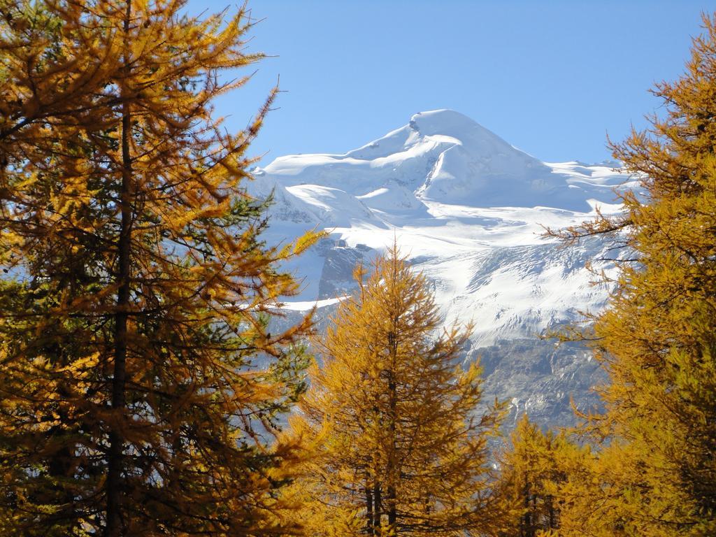 Appartamento Haus Holiday Saas-Fee Camera foto