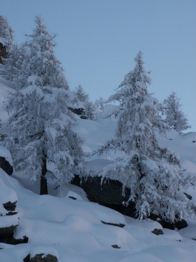 Appartamento Haus Holiday Saas-Fee Esterno foto