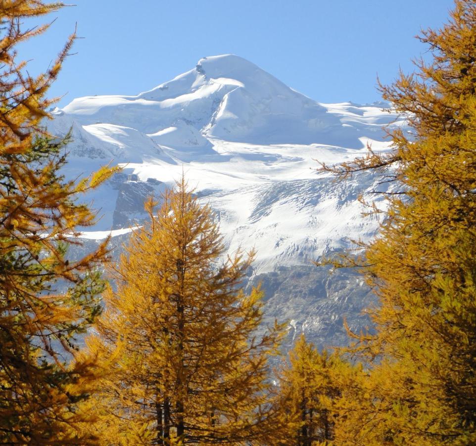 Appartamento Haus Holiday Saas-Fee Esterno foto